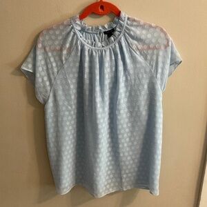 Light Blue Swiss Dot Shirt - Ann Taylor